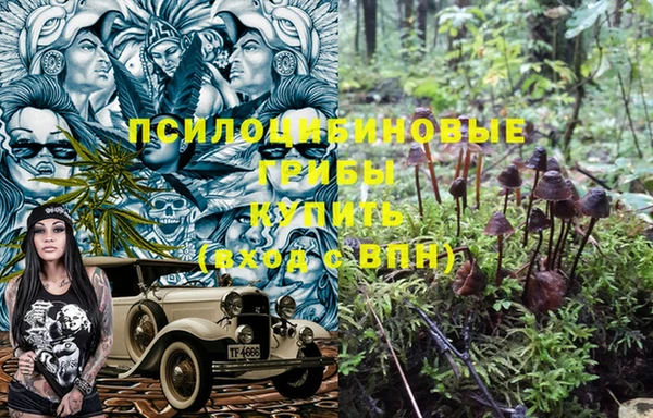 дживик Алзамай
