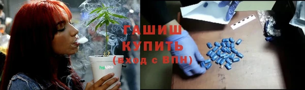 apvp Алексин